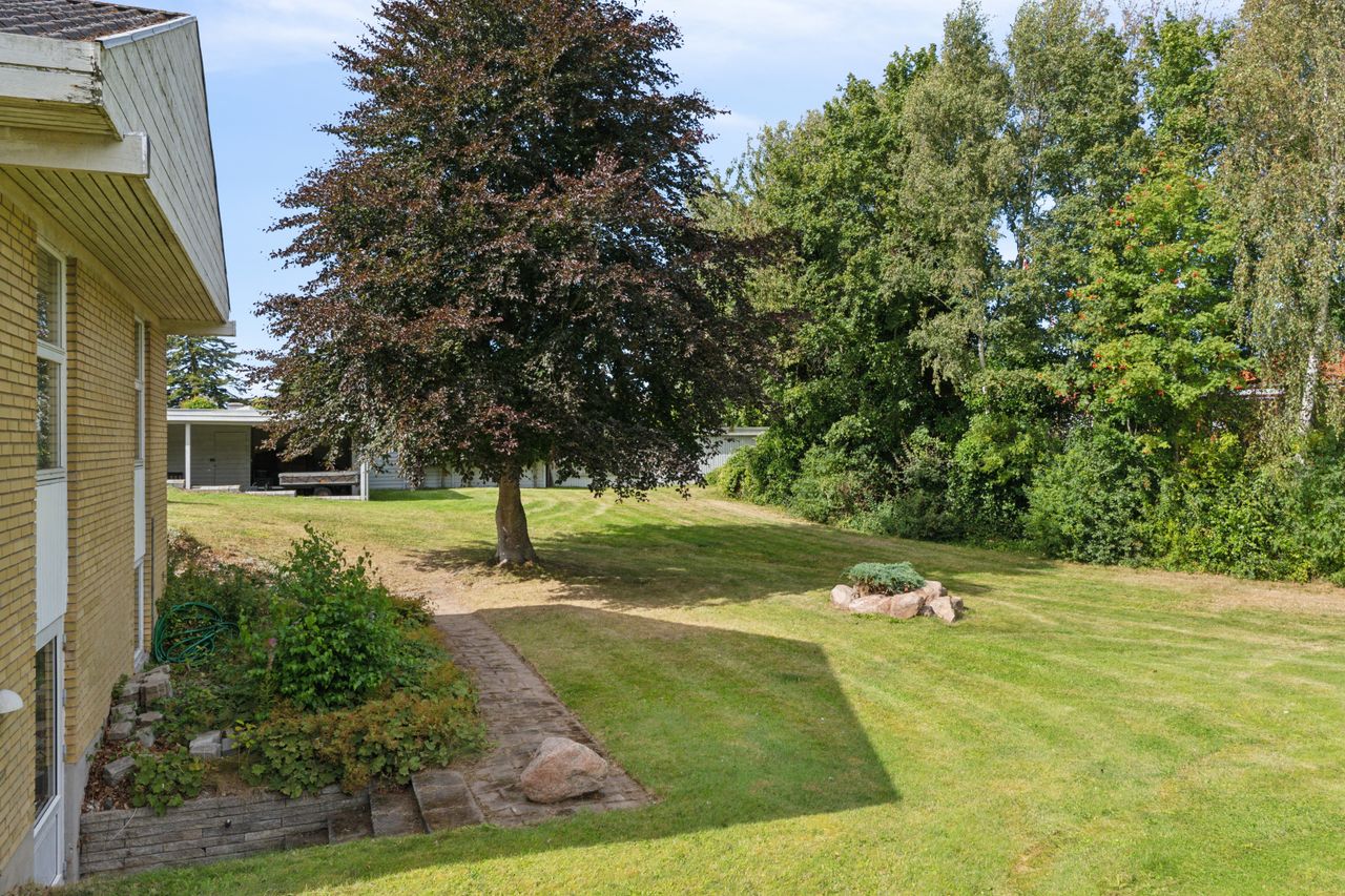 image 02
