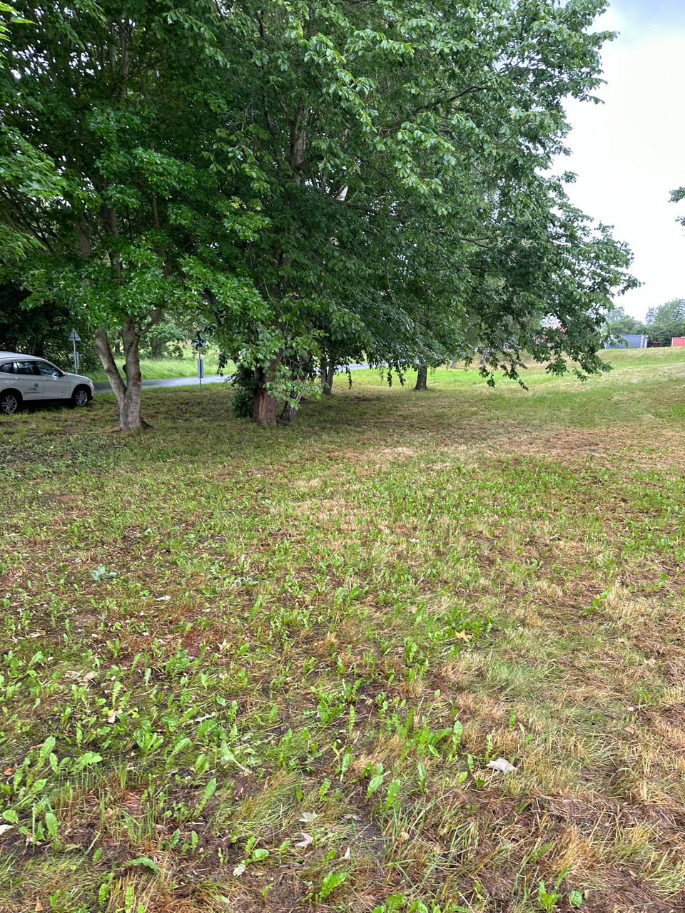 image 04