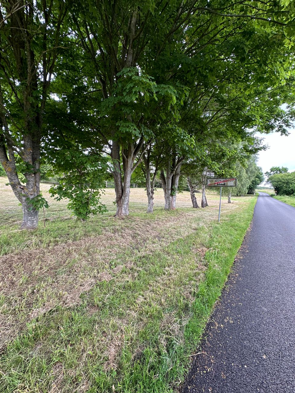 image 01